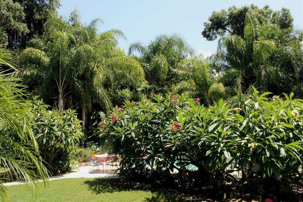 Heron Cay Lakeview Bed & Breakfast Mount Dora Zewnętrze zdjęcie