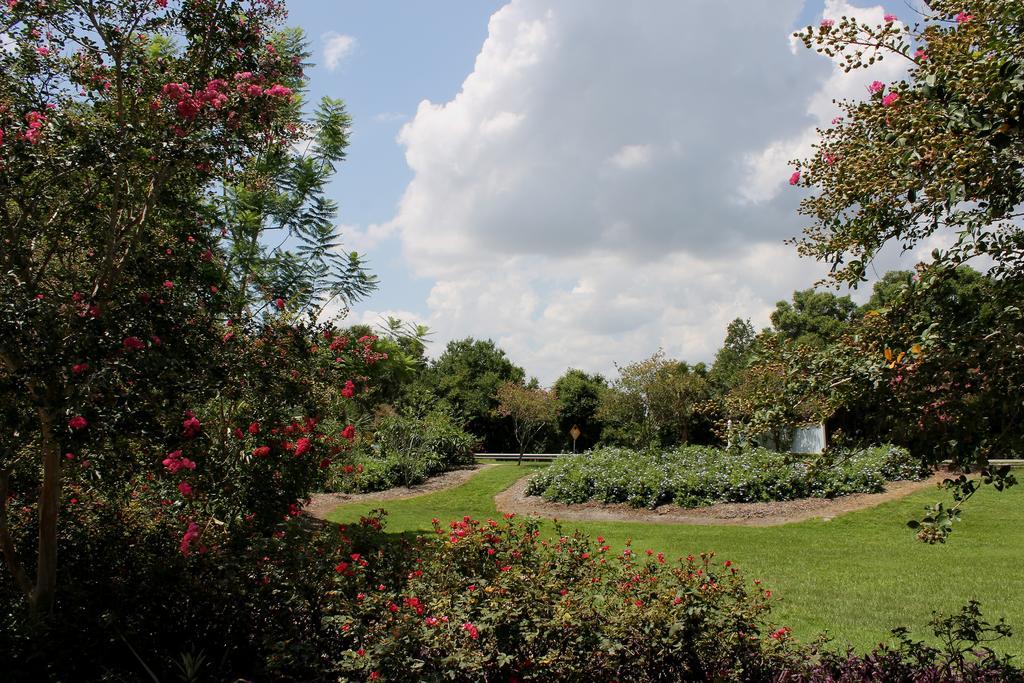 Heron Cay Lakeview Bed & Breakfast Mount Dora Zewnętrze zdjęcie