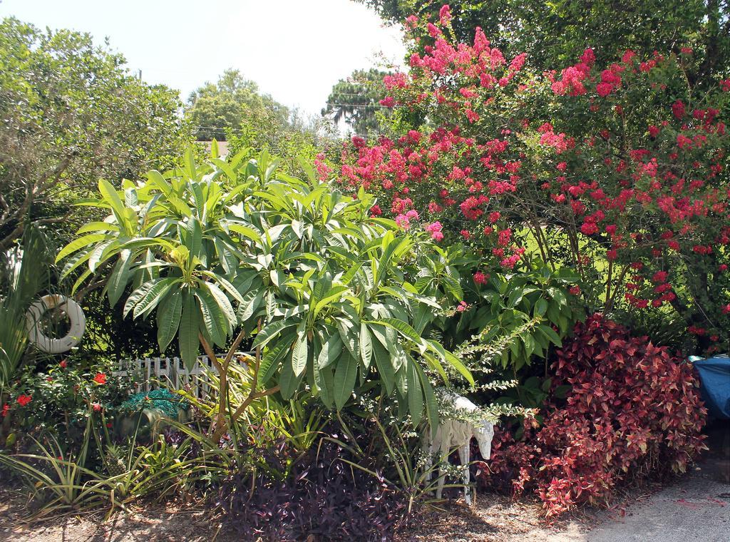 Heron Cay Lakeview Bed & Breakfast Mount Dora Zewnętrze zdjęcie
