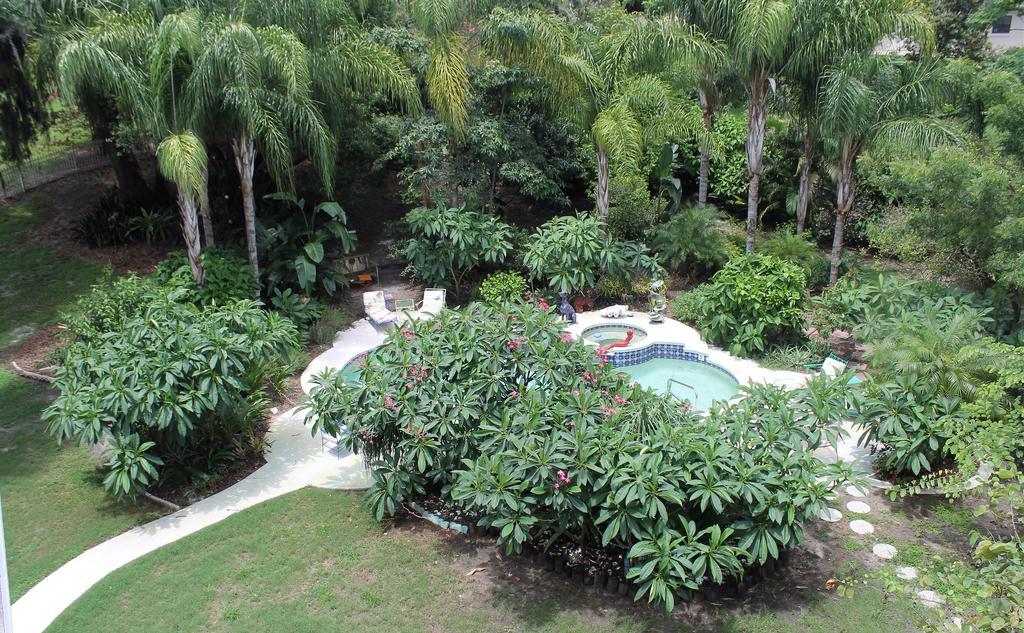 Heron Cay Lakeview Bed & Breakfast Mount Dora Zewnętrze zdjęcie